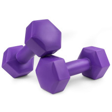Гантель Hop-Sport 2х1 кг композитныеHS-C010DH фиолетовый